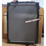 Dongfeng/Dcec Kinland Engine Parts Auto parts for Truck Radiator 1301010-K0300