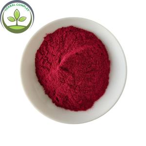 Quality Wholesale Elderberry Powder For Instant Tea Powder wholesale