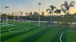 Rubber Granules / Quartz Sand Artifical Football Pitches Weaving Technique Dtex