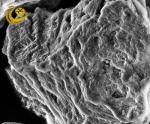 Self Sharpening Polycrystalline Diamond Powder , Natural Diamond Micron Powder