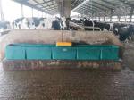 Cow Frost Proof Thermal 98KG Cattle Water Drinkers 560mm Heated Water Trough