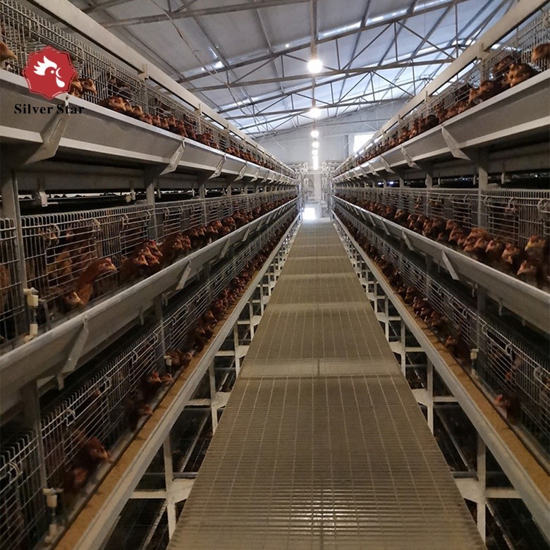 4 Tiers Battery Poultry Layer Chicken Cage Q235A H Frame Style Fully Auto