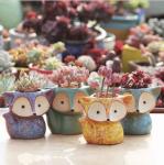 Cartoon Cute Mini Desktop fox shaped Ceramic Animal Pot Succulent Planter