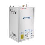 Durable Commercial Heating Hot Water Boiler Gas Fired Low Noise
