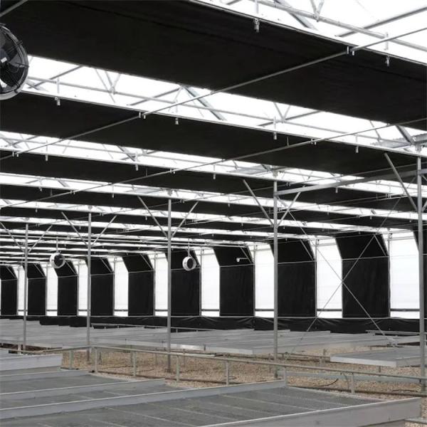 Turnkey Project Usa Tunnel Automatic Blackout Greenhouse Agricultural Plant
