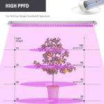 IP65 18W 30W 36W T8 LED Grow Tube Light SMD2835 Blue and Red Custom Spectrum