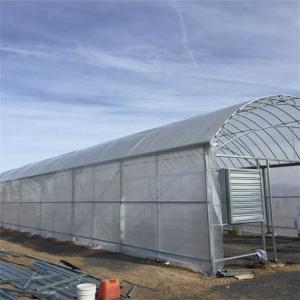 Quality Poly Plastic Film Single Span Greenhouse Hot Galvanized Steel Frame Anti Uv wholesale