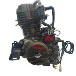 320cc Motorcycle Engine Assembly Displacement 312ml Top Performance