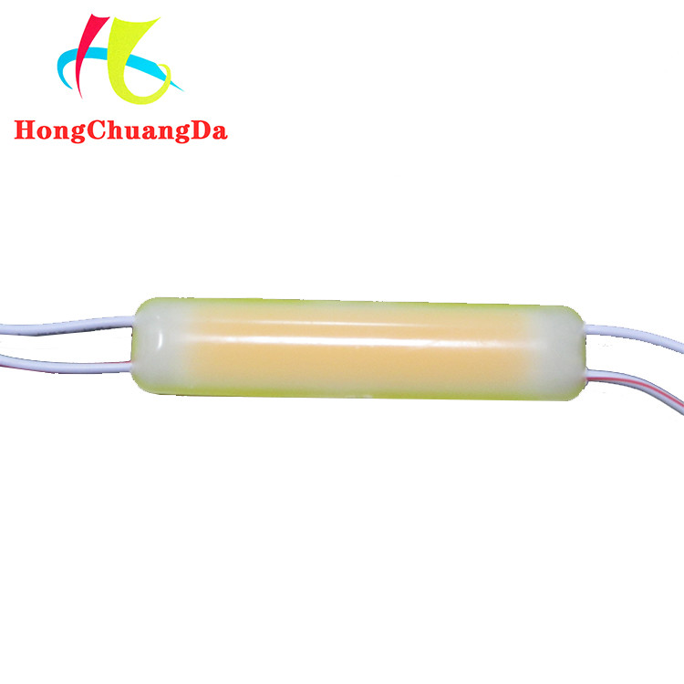 13000k COB LED Light 2W Injection Module 12V Waterproof Energy Saving