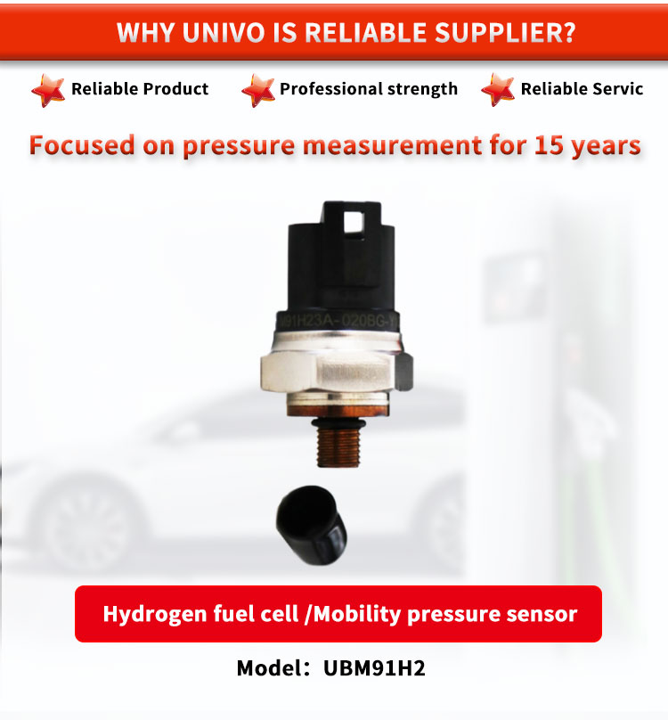 TE Hydrogen Storage and Motive Line Pressure Sensor for Fuel Cell Mobility EC-79 316L