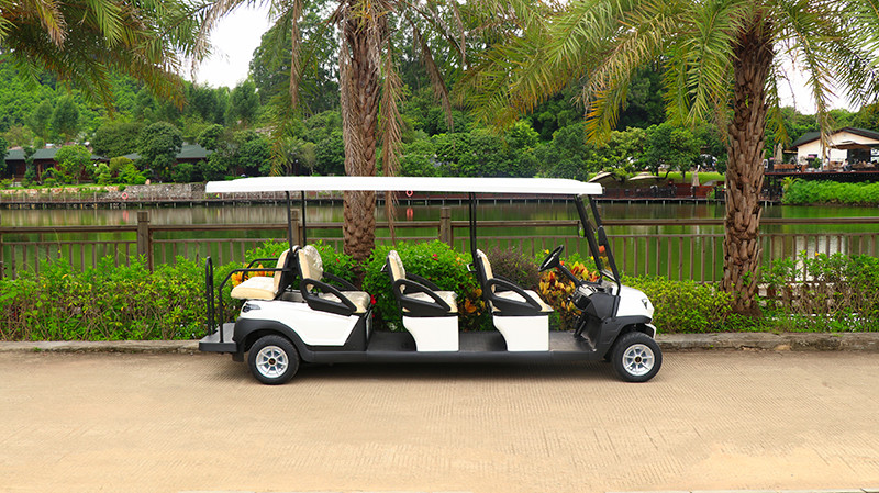 Excar 8 Seats Special Body Design Sightseeing Car With Flip-Flap Seat