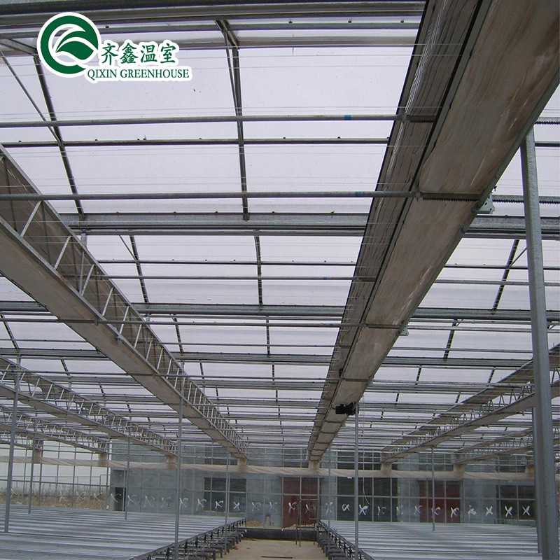 Large Steel Greenhouse Structure Shed Design With 150/200micro PE Film Covering