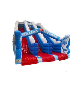 Quality Kids Playground Dolphin Double Lane Slip And Slide For Rentals wholesale