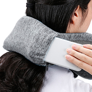 plane pillow