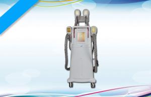 Quality Vacuum Cryolipolysis Slimming Machine / Four Handles Coolsculpting Equipment wholesale