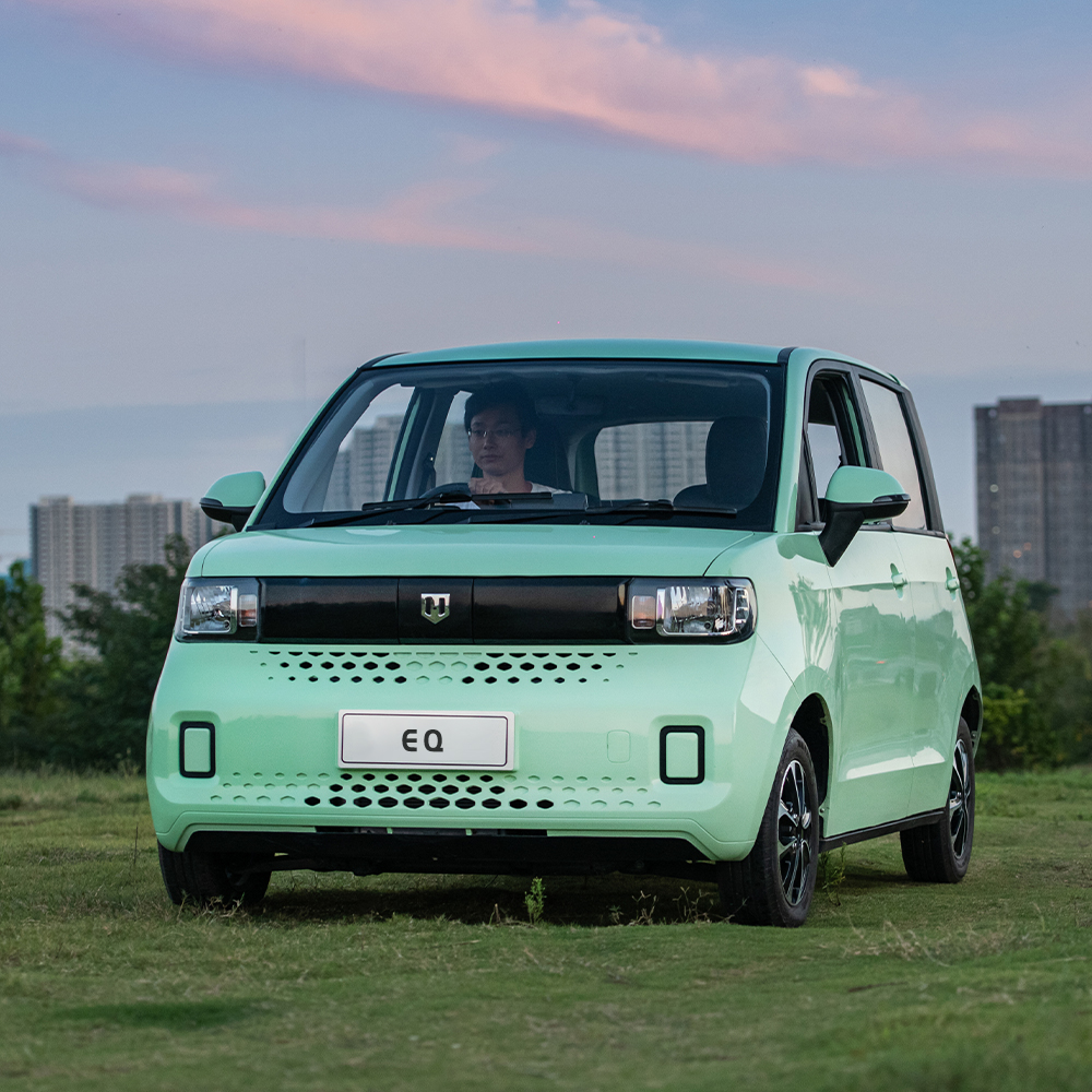 Single Motor Blaval Eq Advanced Electric Coupe Customised Energy Vehicles with Stylish Design and Qualit