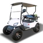 2 People 60V 30 Mph Leisure Golf Carts Street Legal New Energy