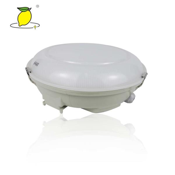 Cheap Waterproof LED IP65 Ceiling Mounted Emergency Lights for sale