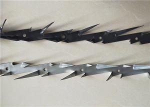 Quality Medium Size Steel Wall Spikes Hot Dipped Galvanized Or Black Powder Coated wholesale