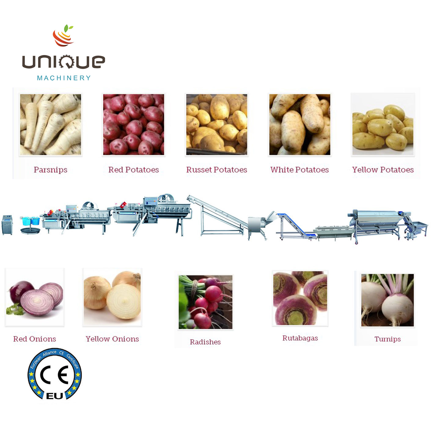 2200 KG Fruit and Vegetables Vacuum Packed Potato Processing Line for Precise Cutting