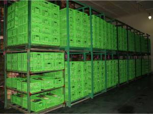 Quality Agricultural Plastic Collapsible Storage Crate Customized 600*400 Mm wholesale
