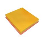 1373667 Engine Parts Air Filter