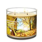 Natural Soy Wax Three Wicks White Glass Holder With Private Labels