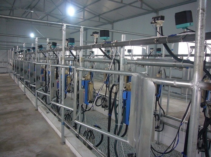 Automatic Milking Parlor with Computerized Electroinc Milk Measurement System