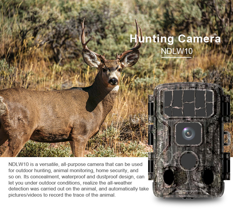 Fast Trigger Time Trail Camera Support Solar Panel and WiFi High Resolution Hunting Camera