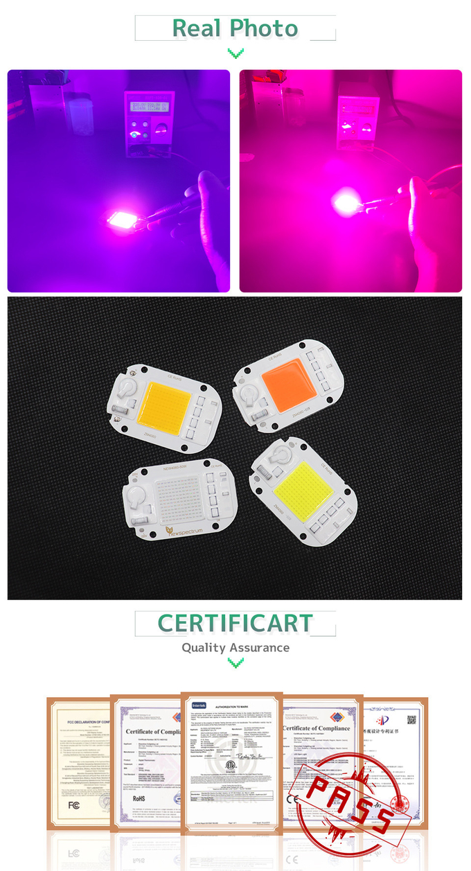 6000K COB LED Module Size 25mm Flip Chip For DIY Flood Light