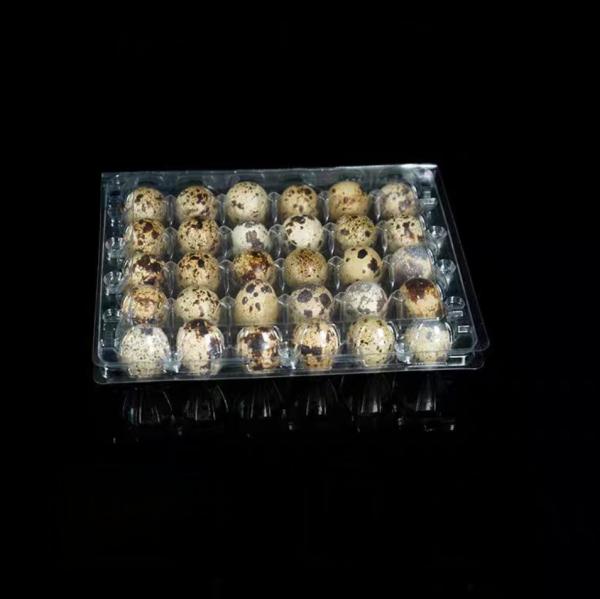 Hinged Plastic Egg Packaging Blister Clamshell 30 Hole Transparent Quail Egg