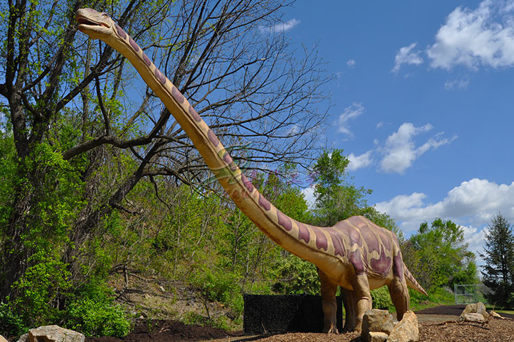 Durable Simulation Giant Animatronic Dinosaur With Vivid Roaring And Breathing
