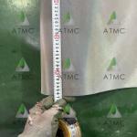High Performance Stainless Steel Wire Mesh For Paper Machine