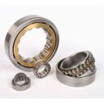 NU 1021 105*60*26Mm ABEC9 Cylindrical Roller Bearing