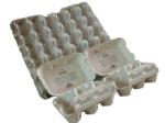 Egg Tray Machine Price