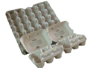 Quality Waste paper egg tray mold wholesale