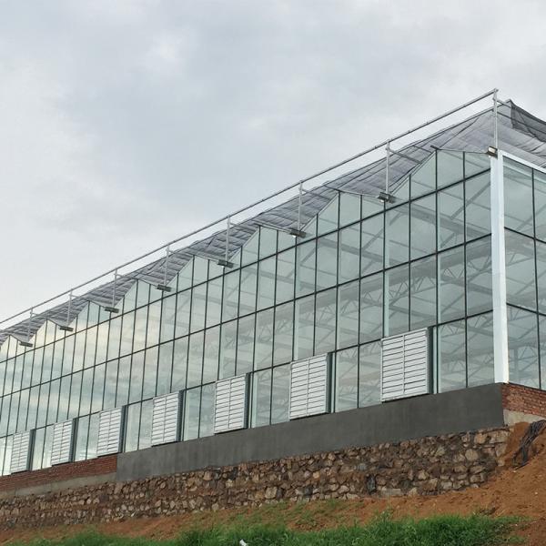 Large Agricultural Glass Greenhouse with Advanced Hydroponics System and Glass