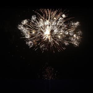 Quality Liuyang 104 Shots Consumer Outdoor Howling Wolf Fireworks Cake wholesale