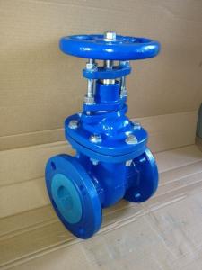 Quality BS metal gate valve NRS wholesale