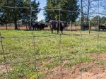 Farm Agricultural Field High Tensile Cattle Fence 100m Length