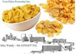 Industrial Food Processing Equipment , Breakfast Cereal Food Production