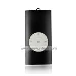 2GB Fashion Design MP3 Player