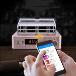 Integrated Stereo Hybrid Vacuum Tube Audio Amplifier With Subwoofer Output MIC