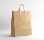 takeout kraft packaging bag with handle