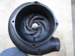 Genuine K38 3647029 Cummins Diesel Engine Cummins Engine Water Pump