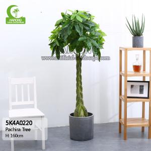 Quality All Season 160cm Height Braided Artificial Money Tree Plant Indoor wholesale