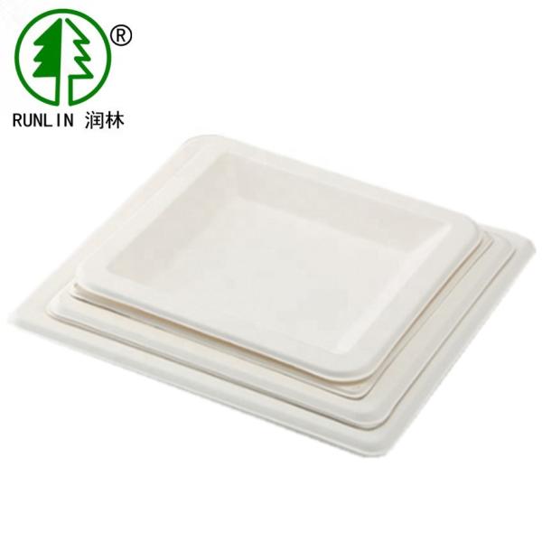 Recyclable Disposable Biodegradable Sugarcane Bagasse Plates Natural White Color