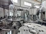 PLC Control Rotary Type Mineral Water Bottle Plant Plastic Bottle Filling