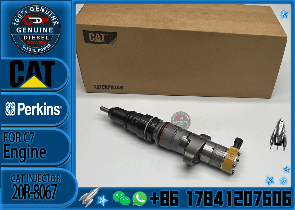 Diesel Engine Parts Common Rail Fuel Injector 20R-8067 for CAT C7 Diesel Engine CNDIP Factory price