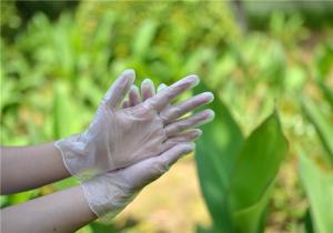 Quality Plastic Transparent Household Disposable TPE Gloves wholesale